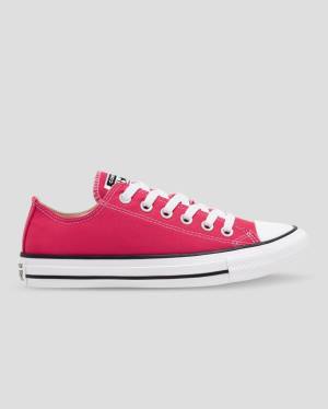 Boty Nízké Converse Chuck Taylor All Star Seasonal Colour Růžové | CV-683PZY