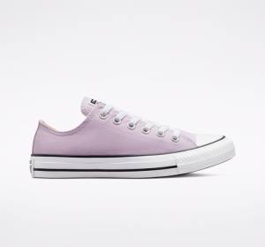Boty Nízké Converse Chuck Taylor All Star Seasonal Color Levandule | CV-794UEB