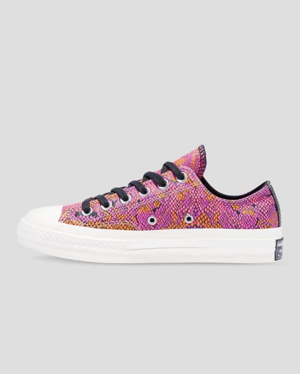Boty Nízké Converse Chuck 70 Læder Printed Růžové Oranžové | CV-089YLW