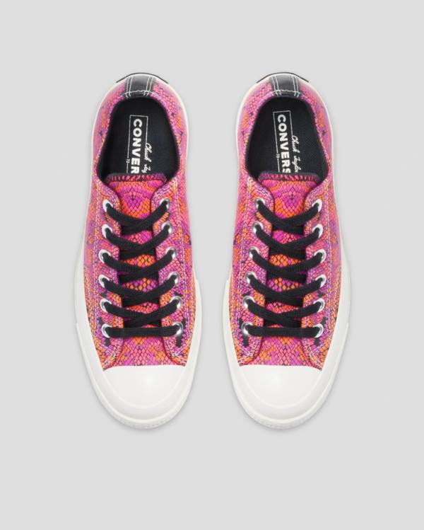 Boty Nízké Converse Chuck 70 Læder Printed Růžové Oranžové | CV-089YLW
