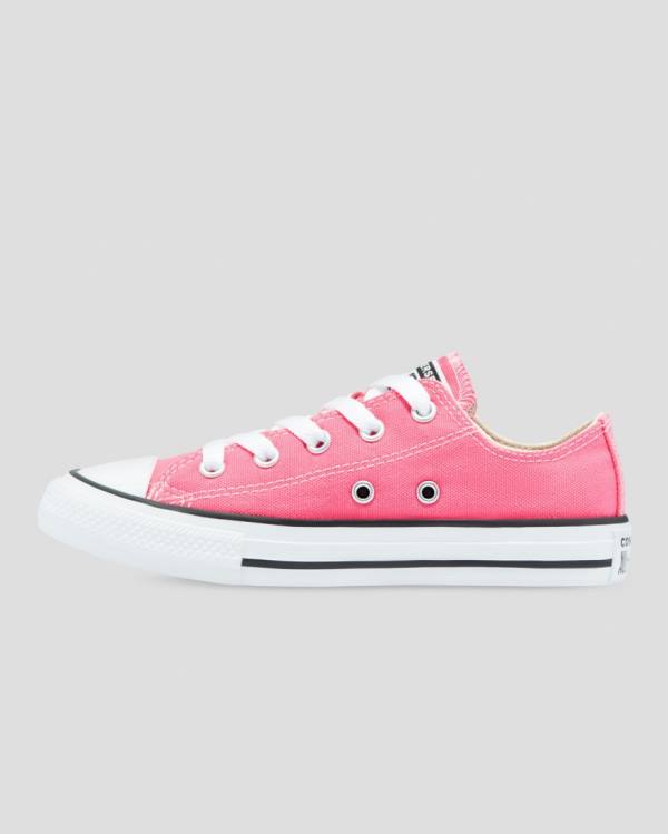 Boty Nízké Converse Chuck Taylor All Star Seasonal Colour Růžové | CV-153XQW