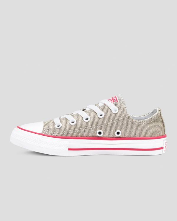Boty Nízké Converse Chuck Taylor All Star Glitter Textilní Hnědé | CV-254WYD