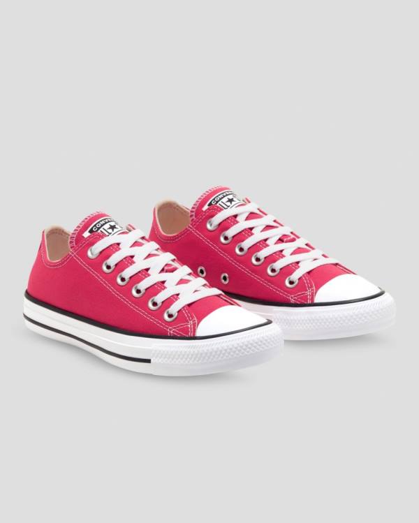 Boty Nízké Converse Chuck Taylor All Star Seasonal Colour Růžové | CV-328FUQ
