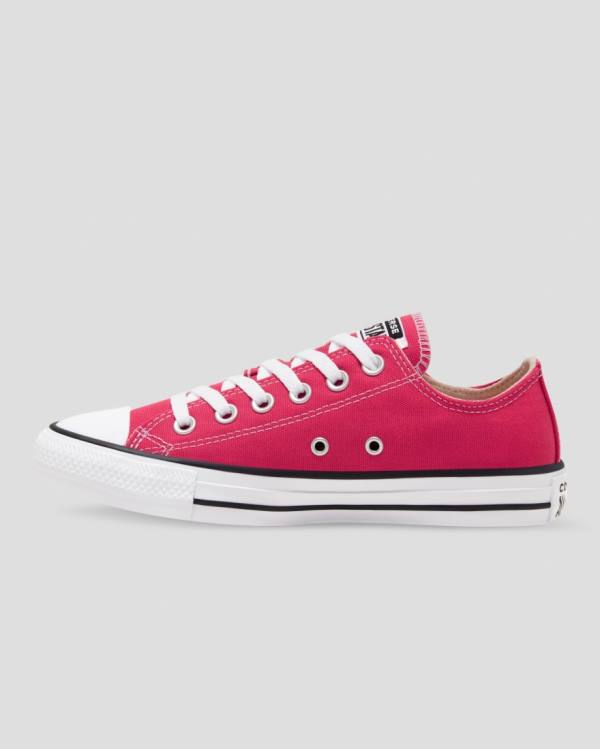 Boty Nízké Converse Chuck Taylor All Star Seasonal Colour Růžové | CV-328FUQ