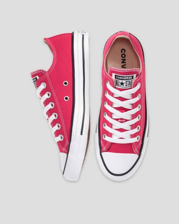 Boty Nízké Converse Chuck Taylor All Star Seasonal Colour Růžové | CV-328FUQ