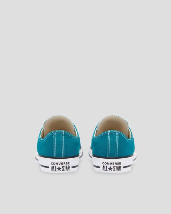Boty Nízké Converse Chuck Taylor All Star Seasonal Blankyt | CV-394MIH