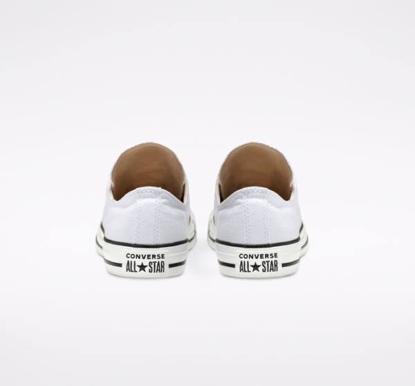 Boty Nízké Converse Chuck Taylor All Star Slip Bílé Černé Bílé | CV-547IDB