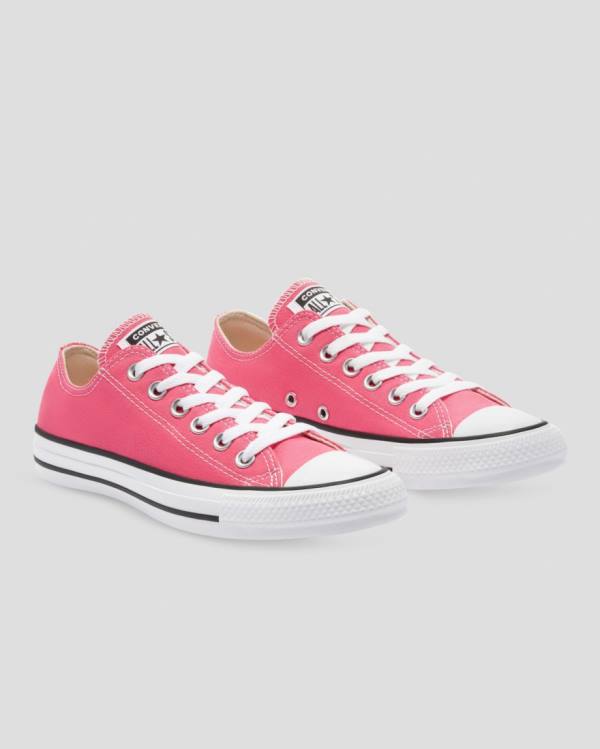 Boty Nízké Converse Chuck Taylor All Star Seasonal Colour Růžové | CV-713FNW