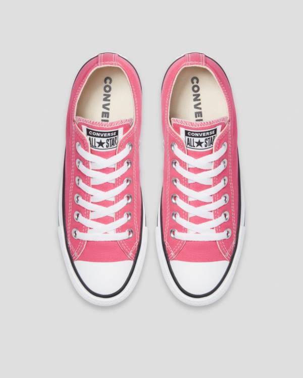 Boty Nízké Converse Chuck Taylor All Star Seasonal Colour Růžové | CV-713FNW