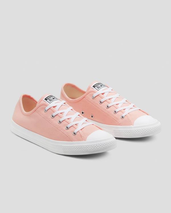 Boty Nízké Converse Chuck Taylor All Star Dainty Seasonal Colour Růžové | CV-719VMH