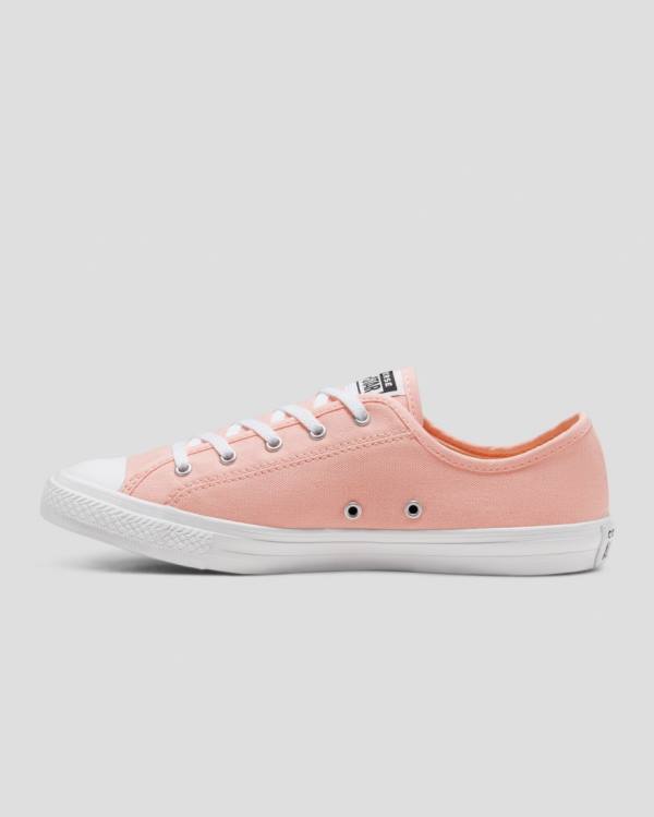 Boty Nízké Converse Chuck Taylor All Star Dainty Seasonal Colour Růžové | CV-719VMH