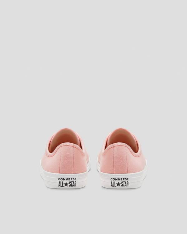 Boty Nízké Converse Chuck Taylor All Star Dainty Seasonal Colour Růžové | CV-719VMH