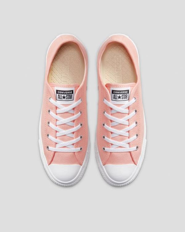 Boty Nízké Converse Chuck Taylor All Star Dainty Seasonal Colour Růžové | CV-719VMH
